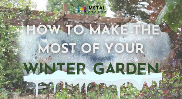 How to make the most of your winter garden