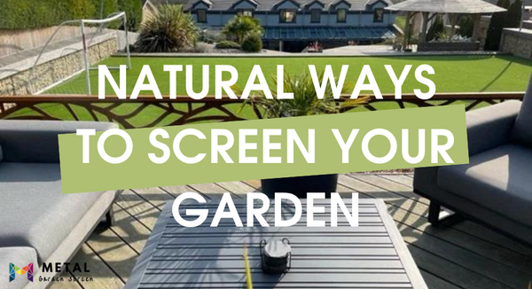 8 Natural Ways to Screen Your Garden