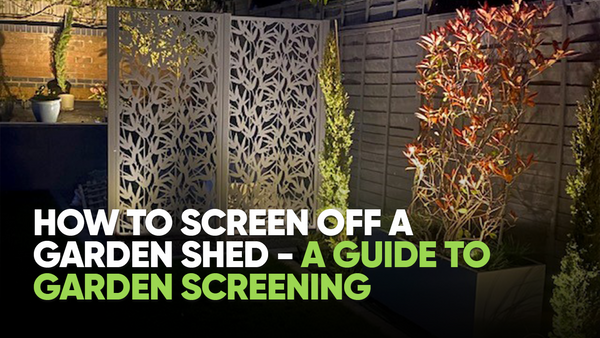 How to Screen Off a Garden Shed - A Guide to Garden Screening